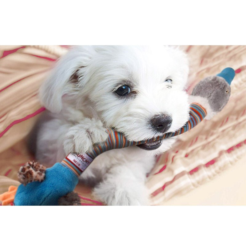 “Crunchy Neck” Duck with Bone & Squeaker – Small - Shopivet.com