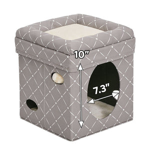 Curious Cat Cube – Mushroom - Shopivet.com