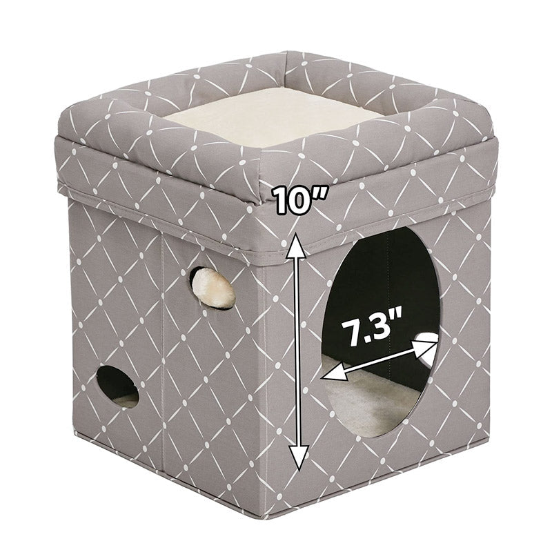 Curious Cat Cube – Mushroom - Shopivet.com