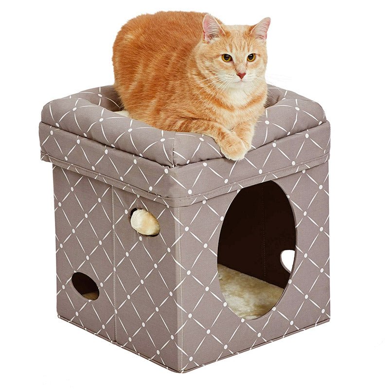 Curious Cat Cube – Mushroom - Shopivet.com