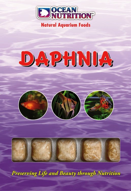 Daphnia 100g - Shopivet.com