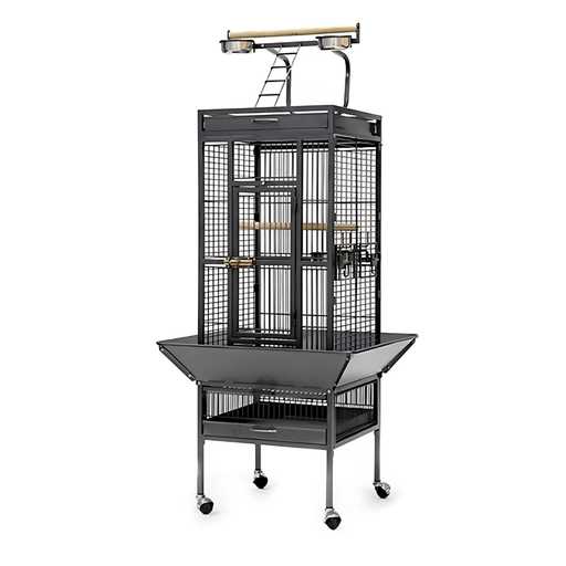 Dayang Bird Cage (A10) - 67 x 67 x 156cm - Black - Shopivet.com