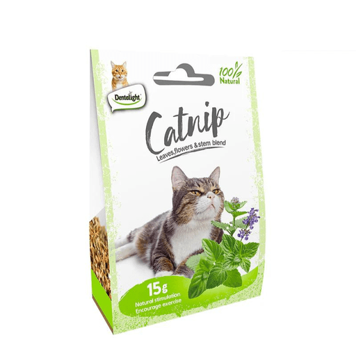 Dentalight Natural Catnip 15g - Shopivet.com