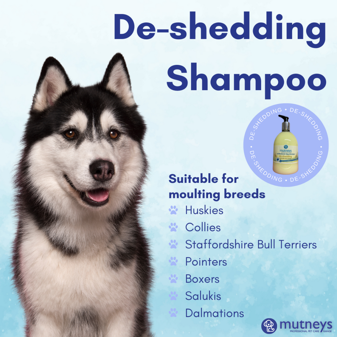De-Shedding Shampoo 5 L