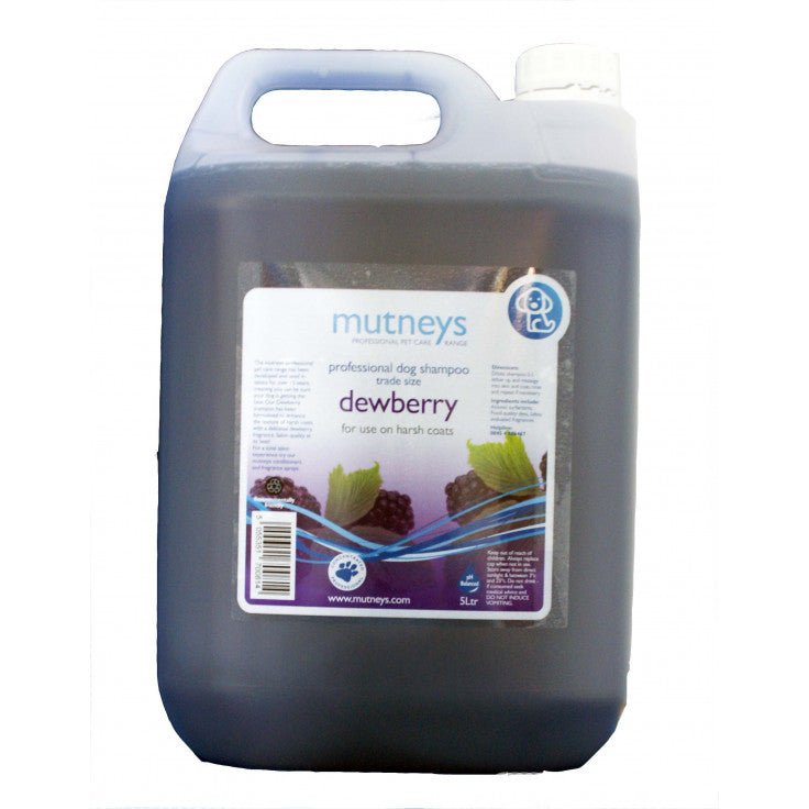 DEWBERRY SHAMPOO 5LTR - Shopivet.com