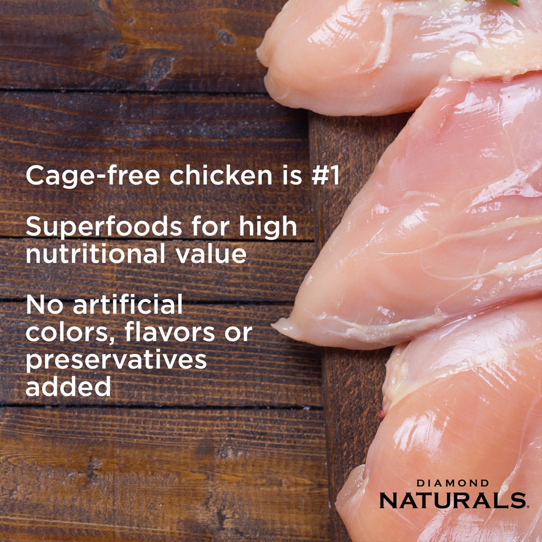 Diamond Naturals Indoor Cat Chicken & Rice Formula - 1Kg (2.20 lbs) - Shopivet.com