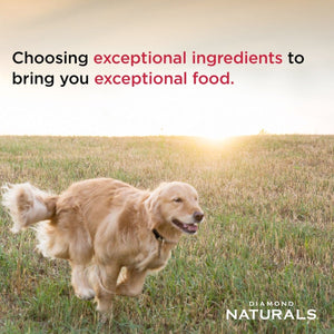 Diamond Naturals Large Breed Adult Dog Lamb Meal & Rice Formula - 15.00 Kg(33 lbs) - Shopivet.com