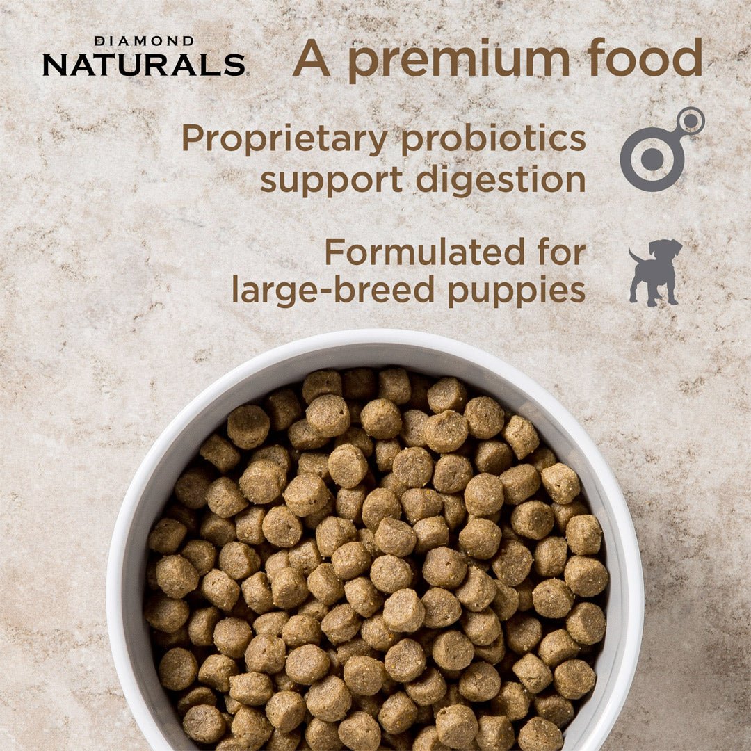 Diamond Naturals Large Breed Puppy Lamb & Rice Formula - 15kg (33 lbs) - Shopivet.com