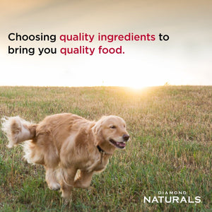 Diamond Naturals Small and Medium Breed Puppy Rich in Chicken & Rice - 2Kg (4.40 lbs) - Shopivet.com