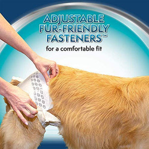 Disposable Diapers - L / XL - Shopivet.com