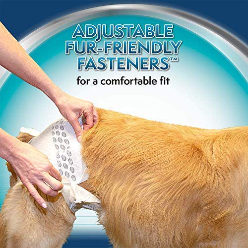 Disposable Diapers - L / XL - Shopivet.com