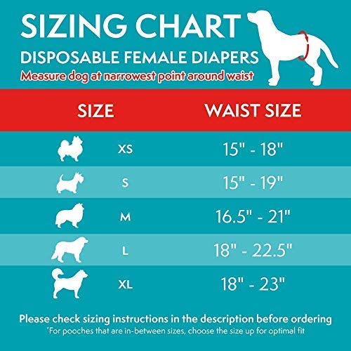 Disposable Diapers - XS - Shopivet.com