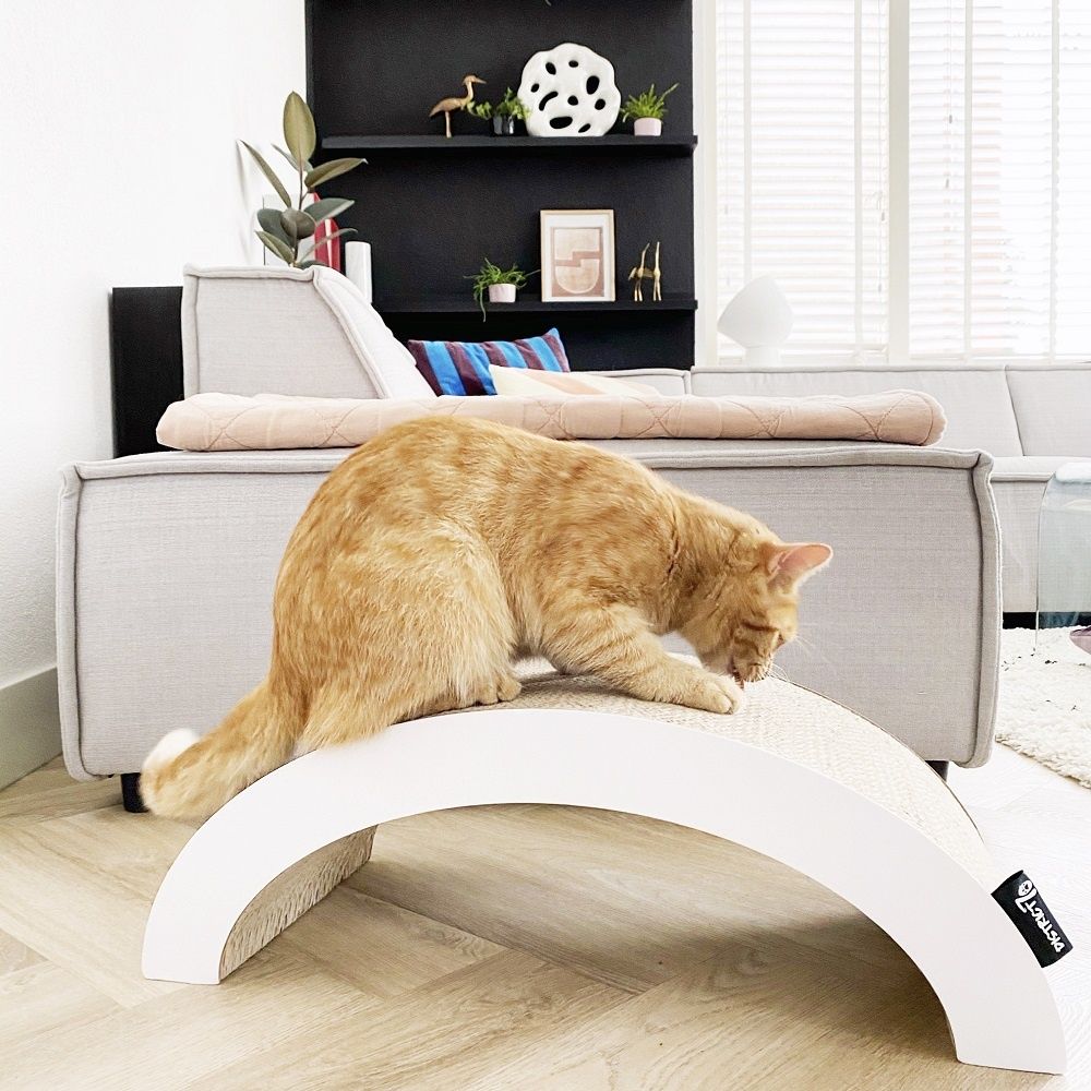 District 70 Arch Cardboard Cat Scratcher - Shopivet.com