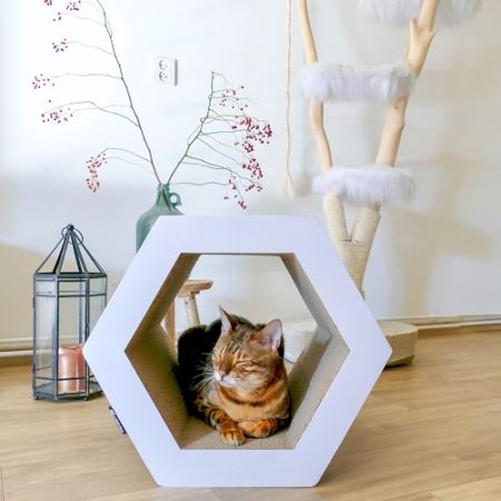 District 70 Hexa Cardboard Cat Scratcher - Shopivet.com