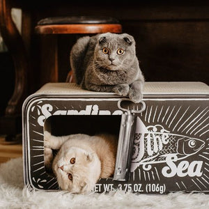 District 70 Sardine 2 - in - 1 Cardboard Cat Scratcher & Cave - PINK - Shopivet.com