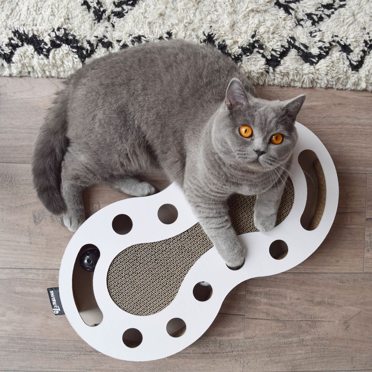 District 70 Snake Cardboard Scratcher Cat Toy - WHITE - Shopivet.com