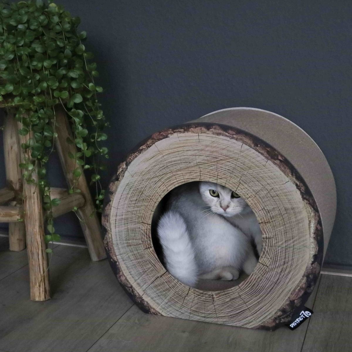 District 70 Trunk Cardboard Cat Scratcher - Shopivet.com