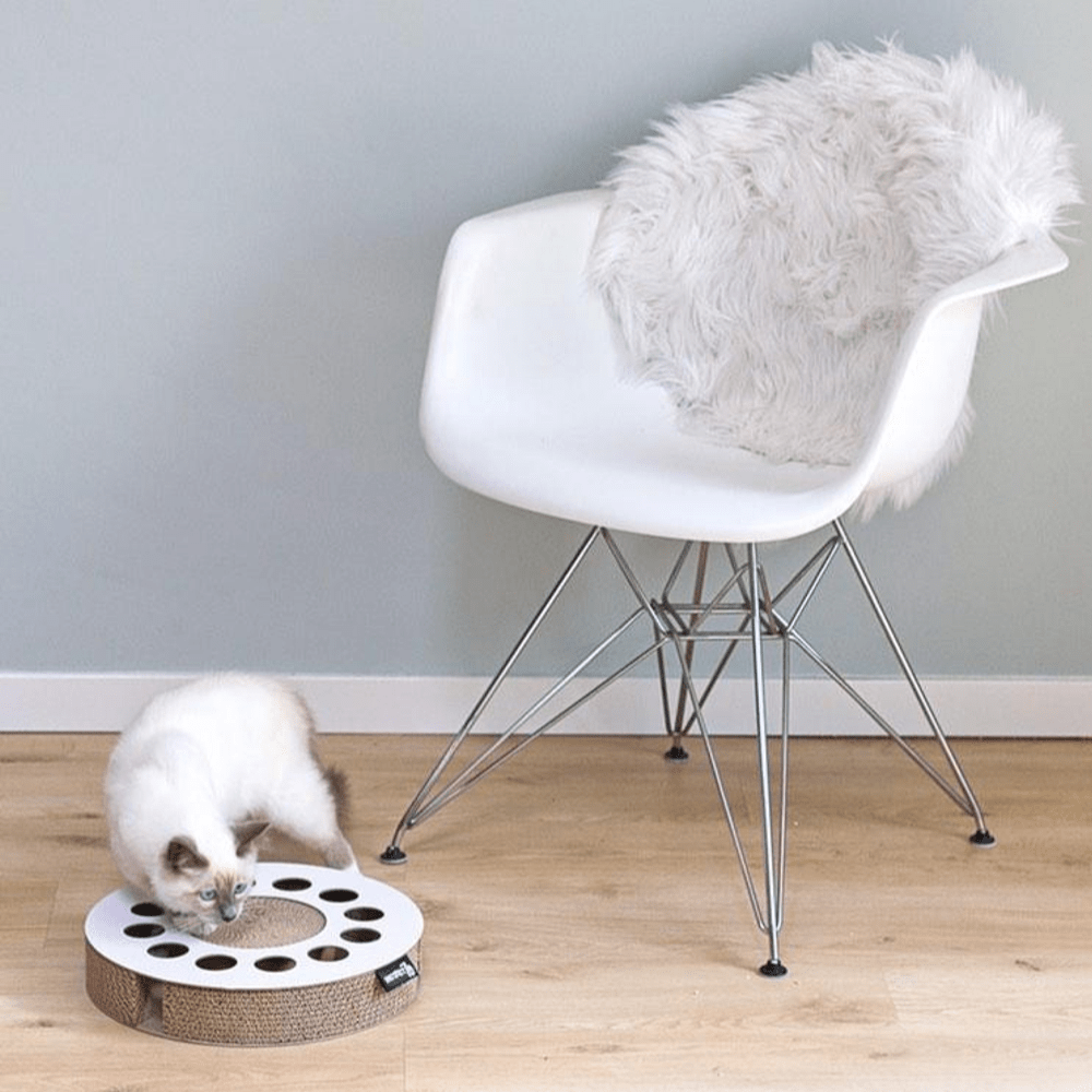 District 70 Whirl Cardboard Scratcher Cat Toy - WHITE - Shopivet.com