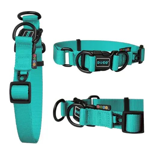 DOCO® DD Collar 2.5 x 45 - 68cm(L) Turquoise - Shopivet.com