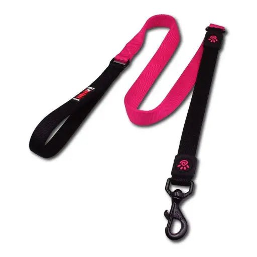 DOCO® Shock Absorbing BUNGEE Leash 4ft 2.5 x 120cm(L) Pink - Shopivet.com