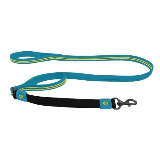 DOCO Shock Absorbing BUNGEE Leash (DCB3960) Turquoise, Sizes - M - Shopivet.com