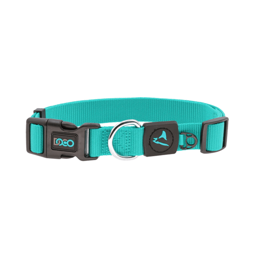 DOCO® Signature Nylon Collar - 1.5 x 27 - 37cm(S) - Turquoise - Shopivet.com