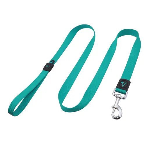 DOCO® Signature Nylon Leash - 4ft - 1.0 x 120cm(XS) - Turquoise - Shopivet.com