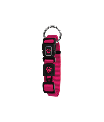 DOCO Signature O - Ring Collar[Color - Pink, Size - S] - Shopivet.com