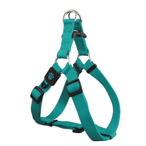 DOCO® Signature Step - In Harness - 2.0 x 53 - 77cm(M) - Turquoise - Shopivet.com