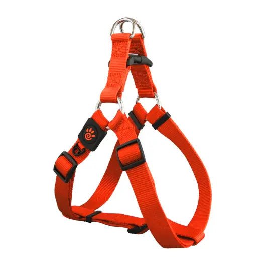 DOCO Signature Step - In Harness (DCSN202) - Orange, Sizes - S - Shopivet.com