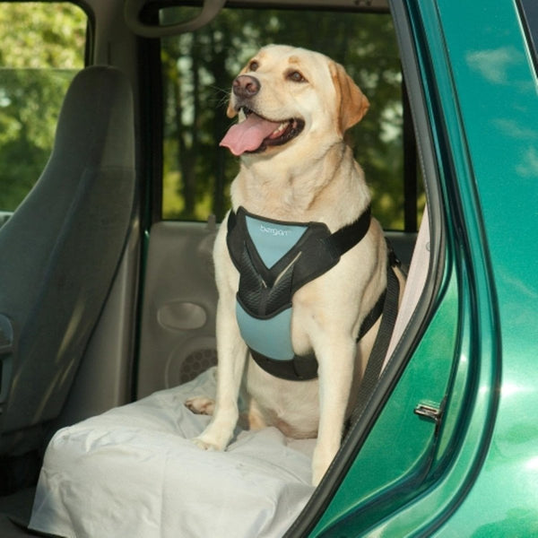 Dog Auto Harness W/ Tether - X - Large - Shopivet.com