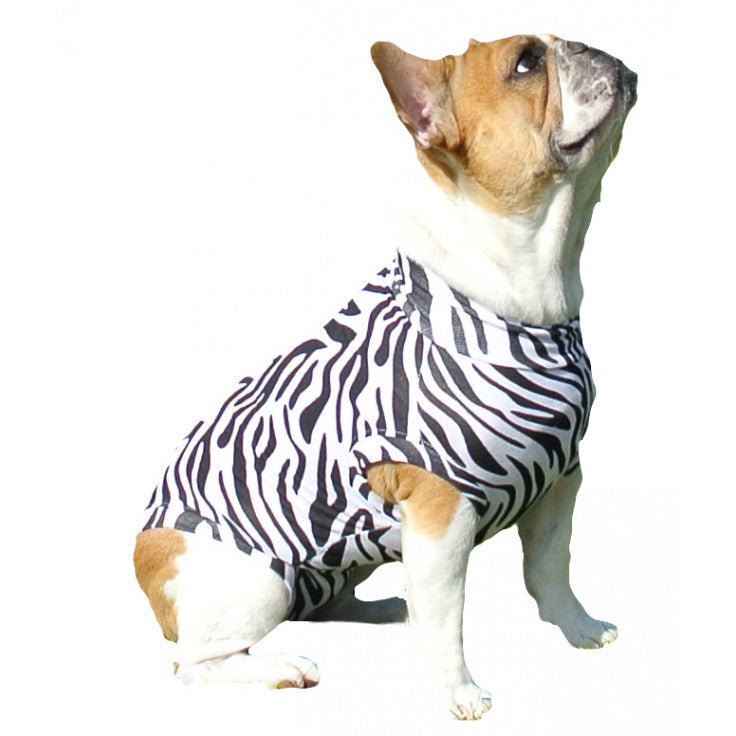 DOG MEDICAL SHIRT ZEBRA - Shopivet.com