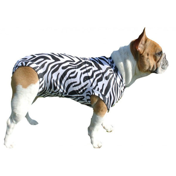 DOG MEDICAL SHIRT ZEBRA - Shopivet.com