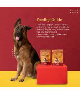 Dogsee Crunch Apple: Freeze - Dried Apple Dog Training Treats 10g - Shopivet.com