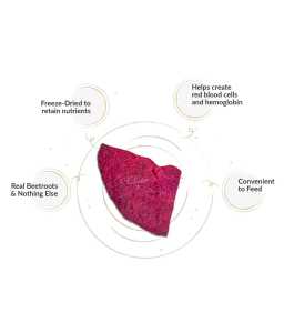 Dogsee Crunch Beetroot: Freeze - Dried Beet Dog Training Treats 10g - Shopivet.com