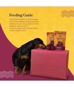 Dogsee Crunch Beetroot: Freeze - Dried Beet Dog Training Treats 10g - Shopivet.com