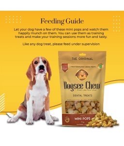 Dogsee Mini Pops: Mini Bite - Sized Dog Training Treats 70g - Shopivet.com