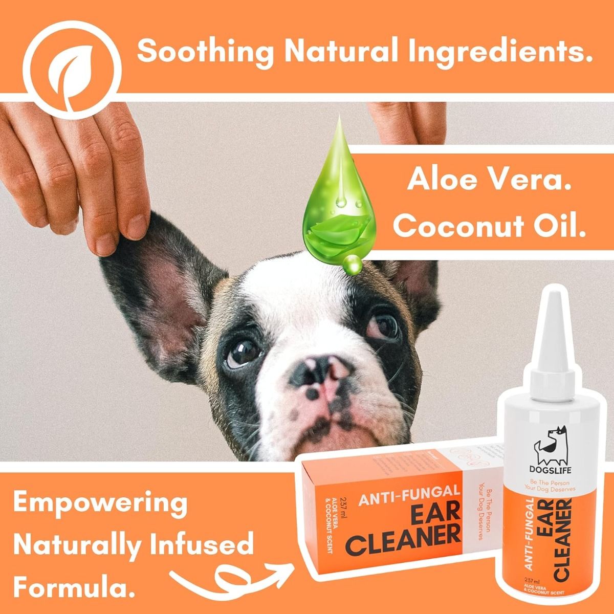 DogsLife Anti - Fungal Ear Cleaner Dog 237ml - 237ml - Shopivet.com