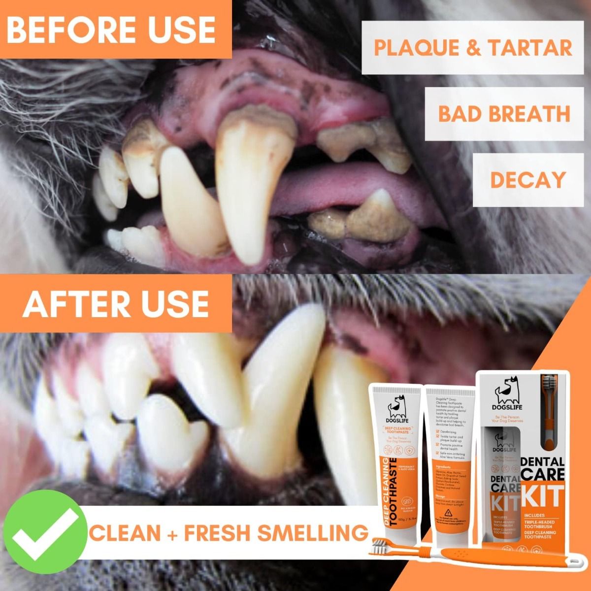 DogsLife Dog Dental Care Kit - Shopivet.com