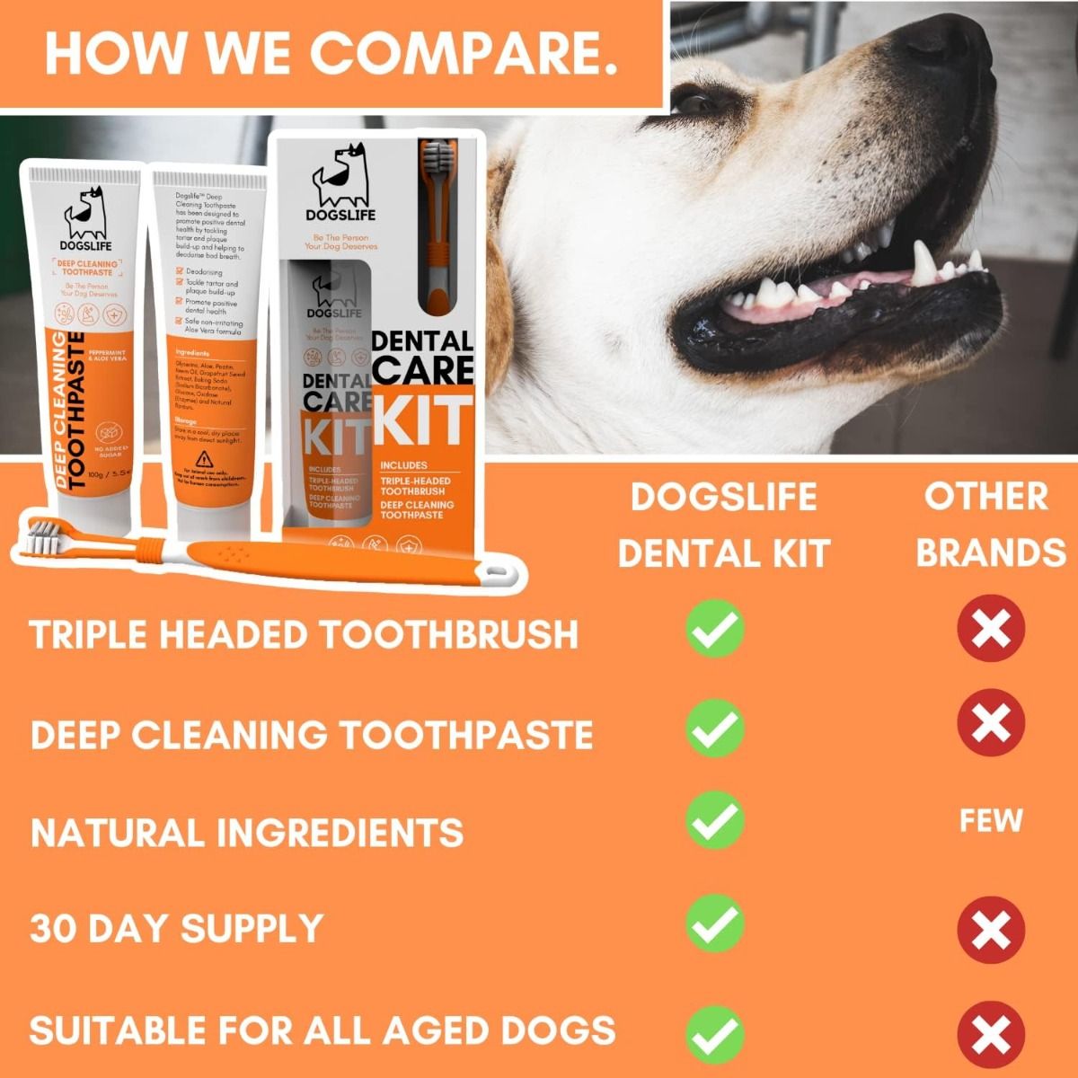 DogsLife Dog Dental Care Kit - Shopivet.com
