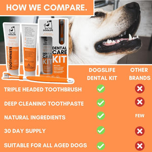 DogsLife Dog Dental Care Kit - Shopivet.com