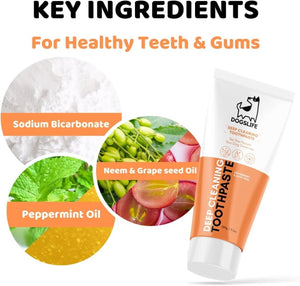 DogsLife Dog Dental Care Kit - Shopivet.com