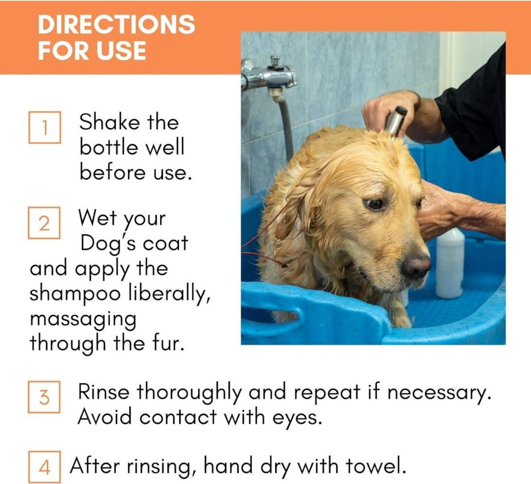 DogsLife Dog Shampoo & Conditioner 237ml - 237ml - Shopivet.com