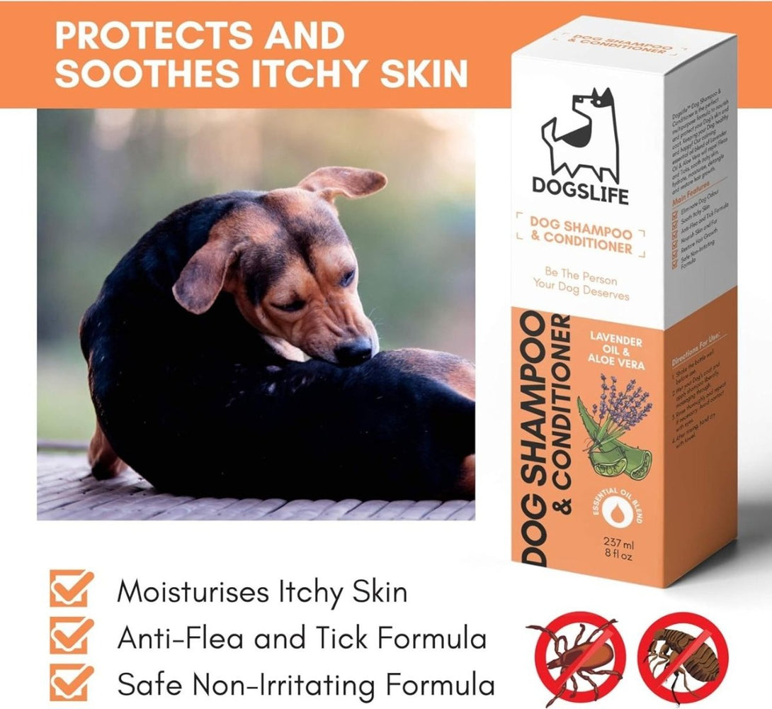 DogsLife Dog Shampoo & Conditioner 237ml - 237ml - Shopivet.com