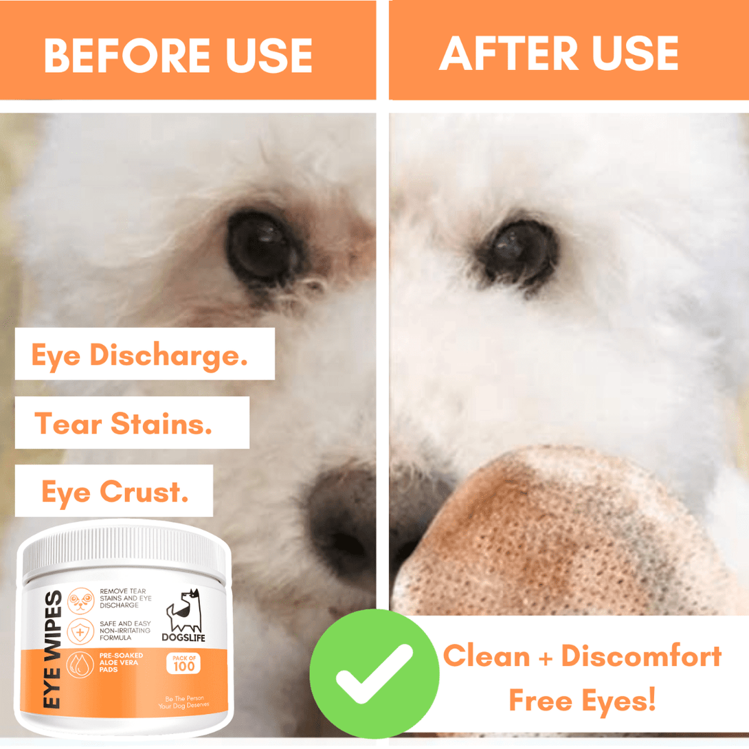 DogsLife Eye Wipes Aloe Vera Dog 100pcs - Shopivet.com