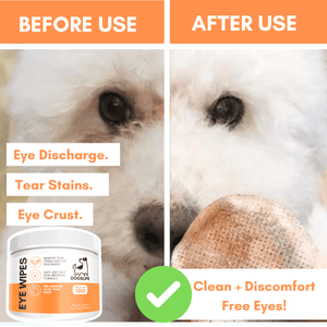 DogsLife Eye Wipes Aloe Vera Dog 100pcs - Shopivet.com