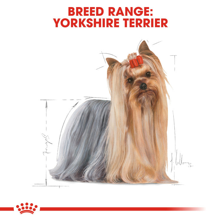 Breed Health Nutrition Yorkshire Adult (WET FOOD - Pouches) - Shopivet.com