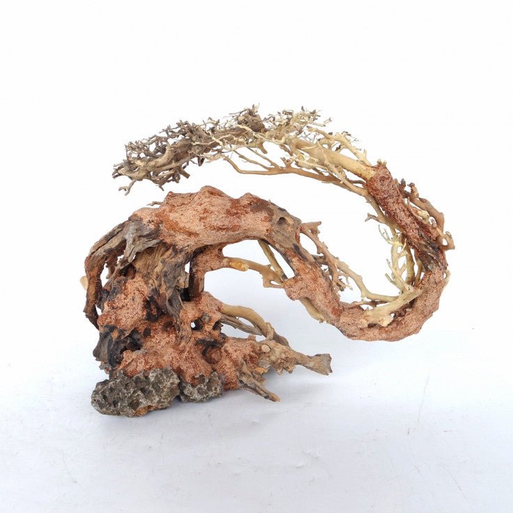 DRAGON-LIKE WOOD TREE - MEDIUM / 30X23X13CM / BOX - Shopivet.com