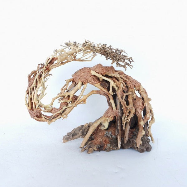 DRAGON-LIKE WOOD TREE - SMALL / 22X15X10CM / BOX - Shopivet.com