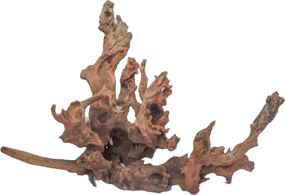 DRIFT WOOD - XL / 50-80CM / PC - Shopivet.com